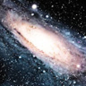 Meet your Posher, Evan